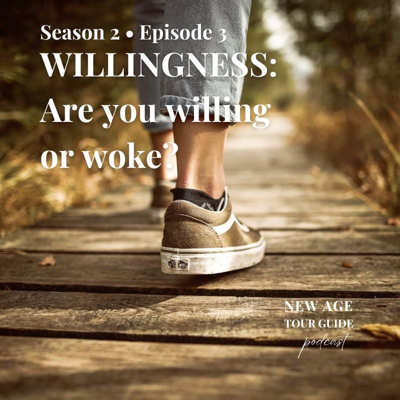 NATG_S2-E3_Willing-Woke_Substack Social Square