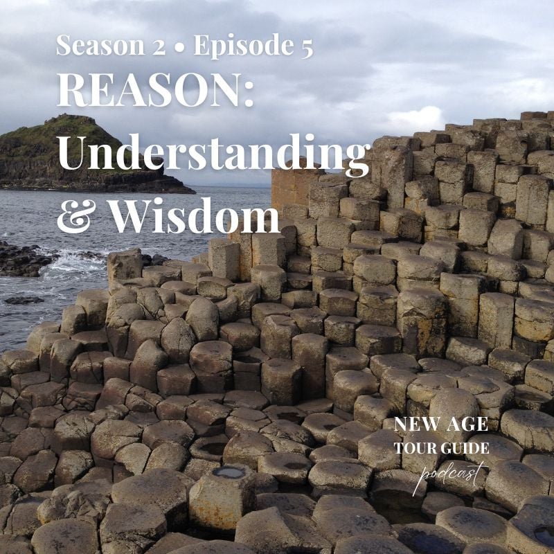 NATG_S2-E5_REASON-Understanding & Wisdom_Substack Social Square