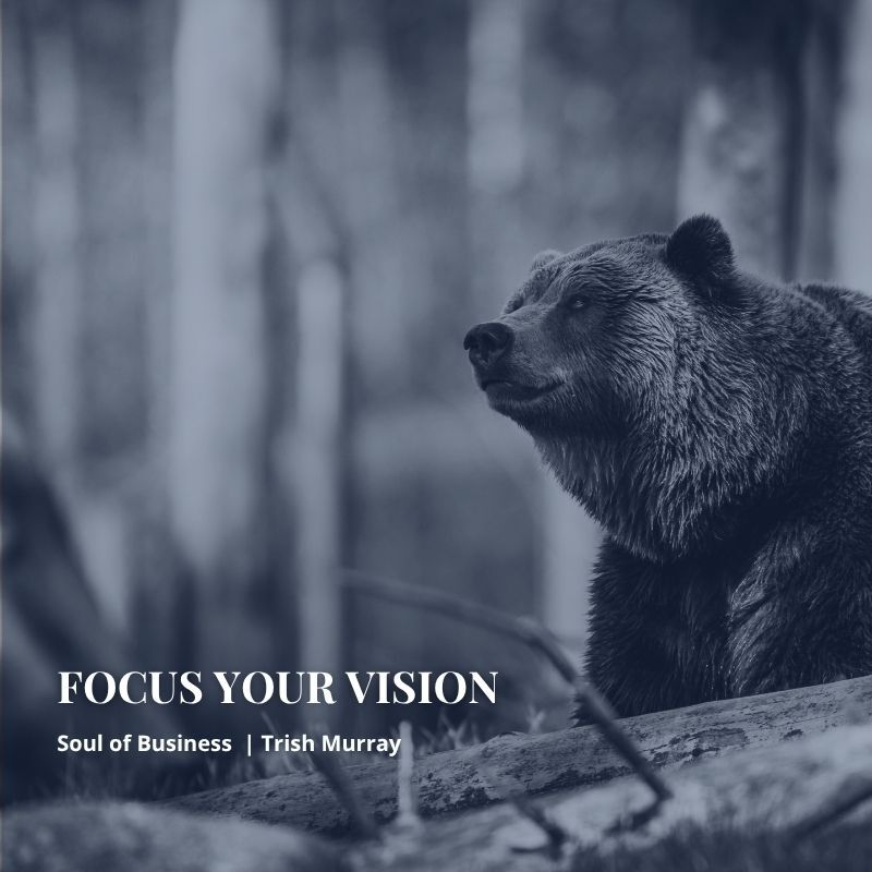 BEAR_VISION_YOU HAVE ONE JOB-BOUNDARIES BEAR_VISION_YOU HAVE ONE JOB-BOUNDARIES