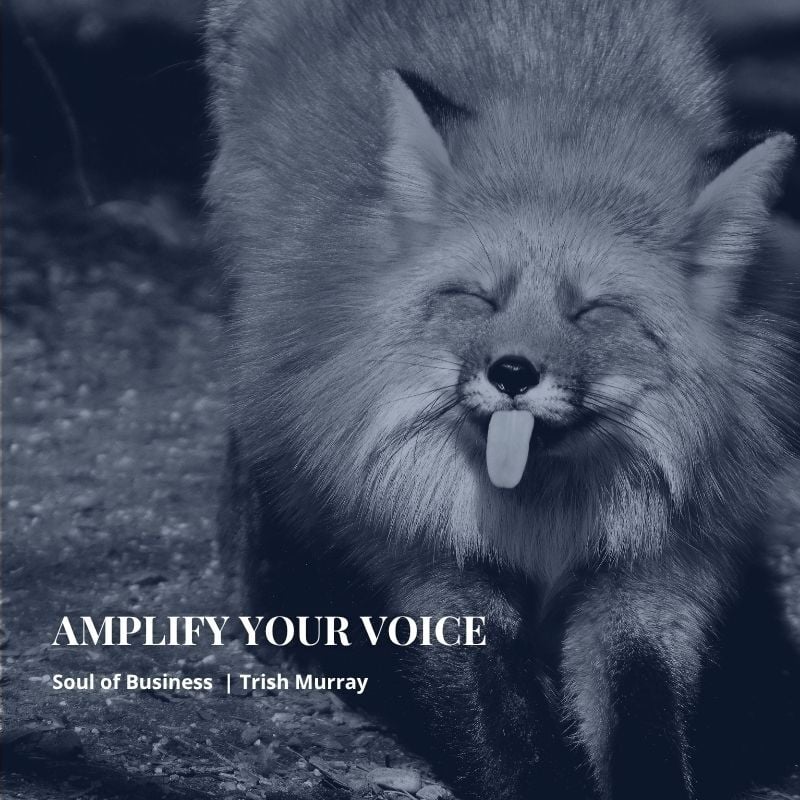 FOX_VOICE_YOU HAVE ONE JOB-ADAPTABILITY FOX_VOICE_YOU HAVE ONE JOB-ADAPTABILITY
