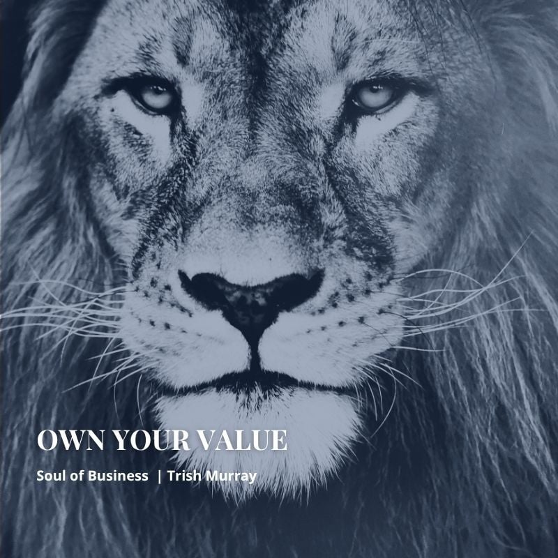 LION_VALUE_YOU HAVE ONE JOB-COURAGE LION_VALUE_YOU HAVE ONE JOB-COURAGE