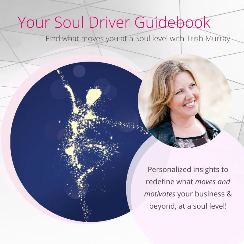 SoulDrivers_TrishMurray SoulDrivers_TrishMurray